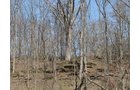 Property photo 33 - 137 Acres in 2 Tracts - 64 Tillable Acres, Potential Building Sites, Hunting